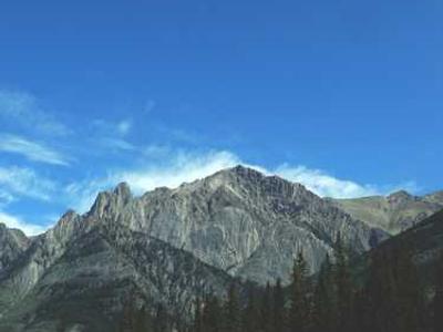 Rethinking imitation learning with Predictive Inverse Dynamics Models