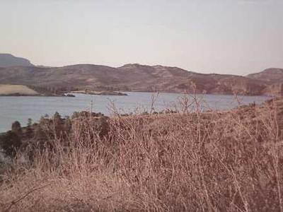 Strange “elephant skin” rocks reveal ancient life in the dark ocean