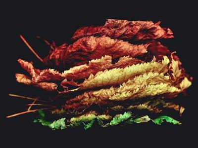 You need to listen to the new Mandy, Indiana record: URGH