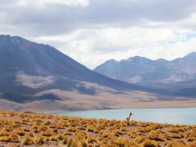 When industry knowledge meets PIKE-RAG: The innovation behind Signify’s customer service boost