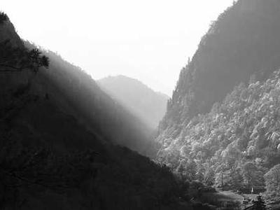 Ideas: Community building, machine learning, and the future of AI