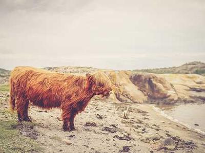 PlugMem: Transforming raw agent interactions into reusable knowledge