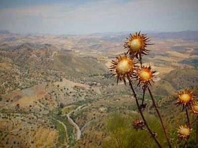 Gravitational waves may have created dark matter in the early universe