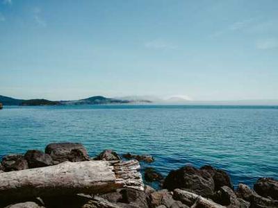 The Most Read Books on Goodreads This Week