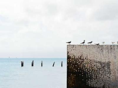 Meteor impacts may have sparked life on Earth, scientists say