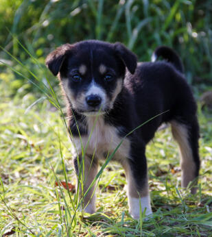 Christopher Rodriguez