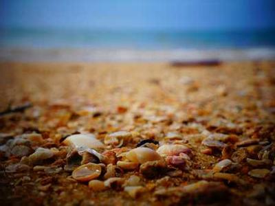 MMCTAgent: Enabling multimodal reasoning over large video and image collections