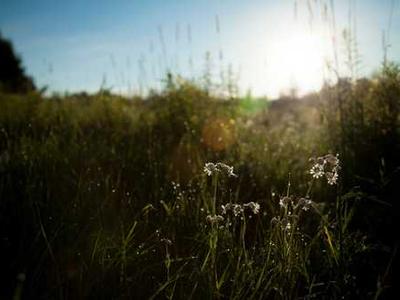 Lit Hub Daily: September 2, 2025