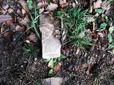 Samsung’s first smart glasses have leaked