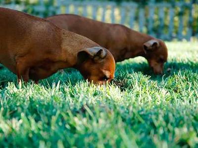 What Is Ethernet? Everything You Need to Know About Wired Networks