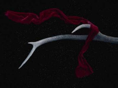 5 Reasons to Think Twice Before Using ChatGPT—or Any Chatbot—for Financial Advice