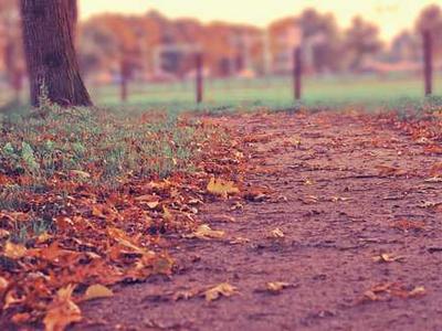 The best e-reader to buy right now