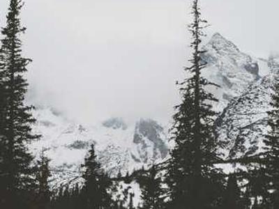 Agent Lightning: Adding reinforcement learning to AI agents without code rewrites