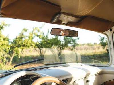 Popular sugar substitute linked to brain damage and stroke risk