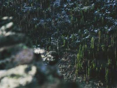 Book Riot’s Deals of the Day for April 25, 2026