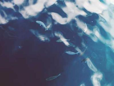 MMCTAgent: Enabling multimodal reasoning over large video and image collections