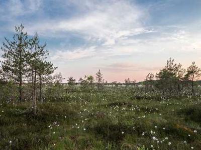 AsgardBench: A benchmark for visually grounded interactive planning