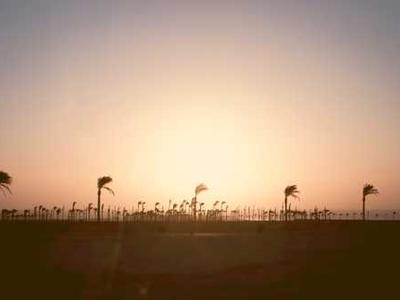 California Engineer Identified in Suspected Shooting at White House Correspondents’ Dinner