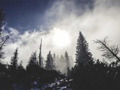 Physicists just solved a strange fusion mystery that stumped experts