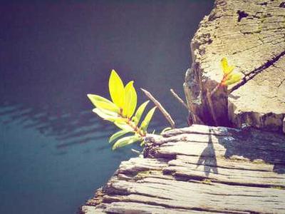 Amazon didn’t have to go far to find its live-action Kratos