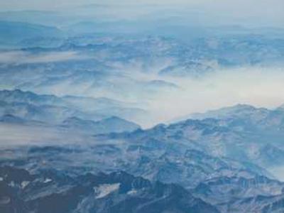 Half of Amazon insects could face dangerous heat stress